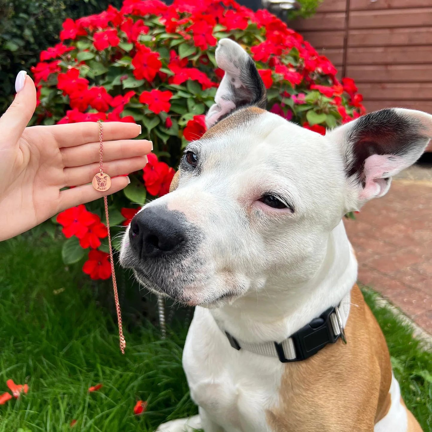 Custom Pet Face Necklace